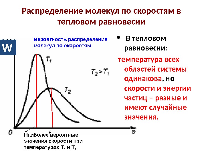 Распределение молекул по скоростям в тепловом равновесии Вероятность распределения молекул по скоростям Наиболее вероятные