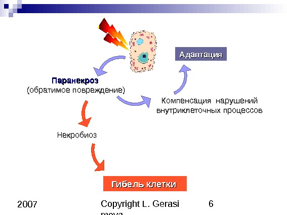 Copyright L. Gerasi mova 6 2007 Паранекроз  (обратимое повреждение) Компенсация нарушений внутриклеточных процессов