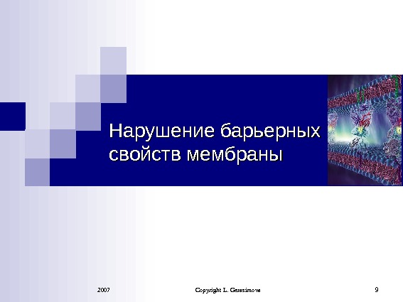 2007 Copyright L. Gerasimova 9 Нарушение барьерных свойств мембраны 