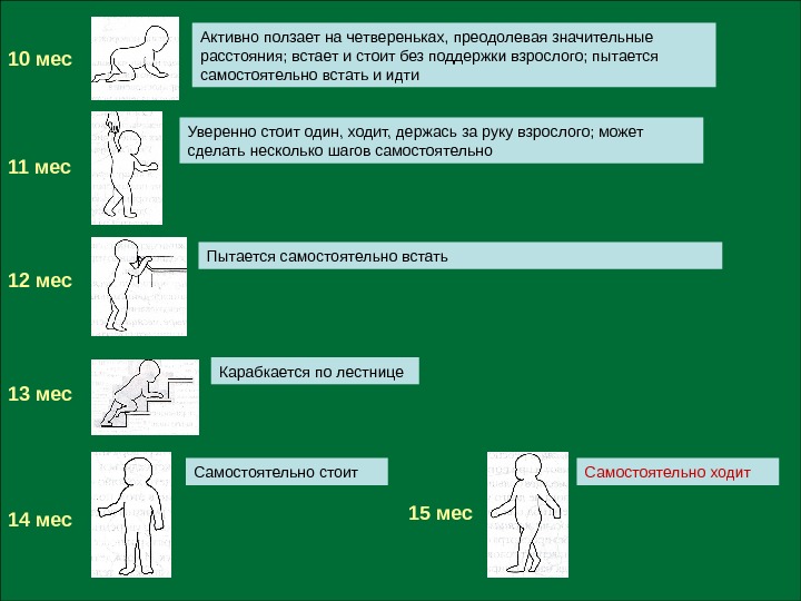   10 мес 11 мес 12 мес 13 мес 14 мес 15 мес.