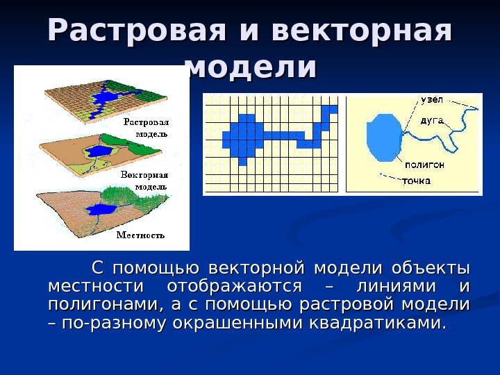 Растр это. Растровая и Векторная модель данных в ГИС. Векторные и растровые модели. Векторная модель пространственных данных. Растровая модель местности.