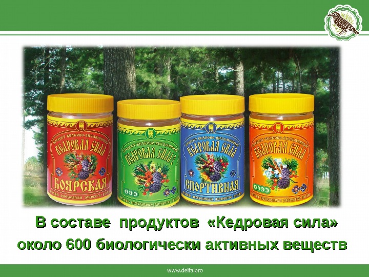    В составе продуктов  «Кедровая сила»  около 600 биологически активных