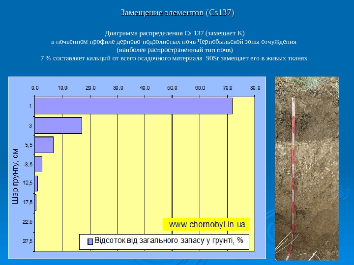 Диаграмма распределения Cs 137 (замещает K) в почвенном профиле дерново-подзолистых почв Чернобыльской зоны отчуждения