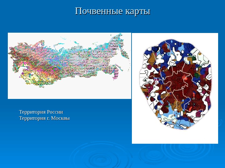 Почвенные карты Территория России Территория г. Москвы 