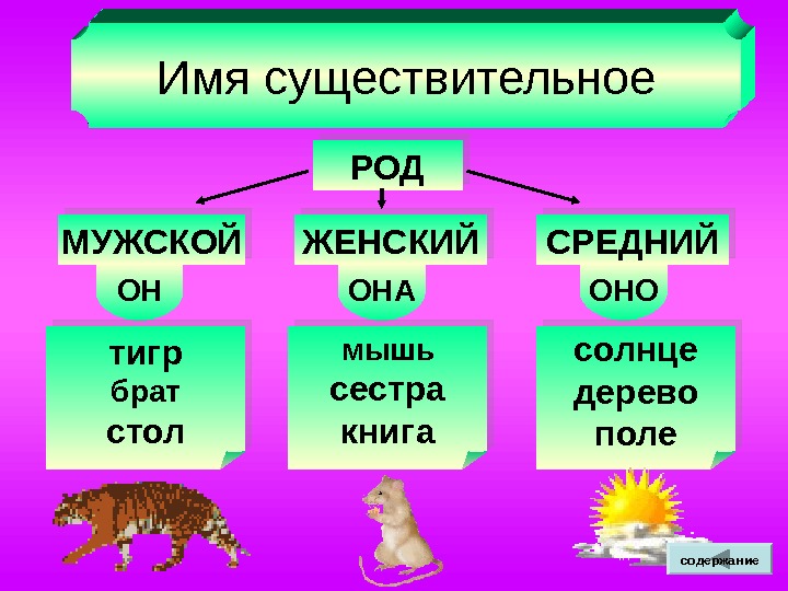 Имя существительное РОД МУЖСКОЙ ЖЕНСКИЙ СРЕДНИЙОНОНАОНО тигр брат стол мышь сестра книга солнце дерево