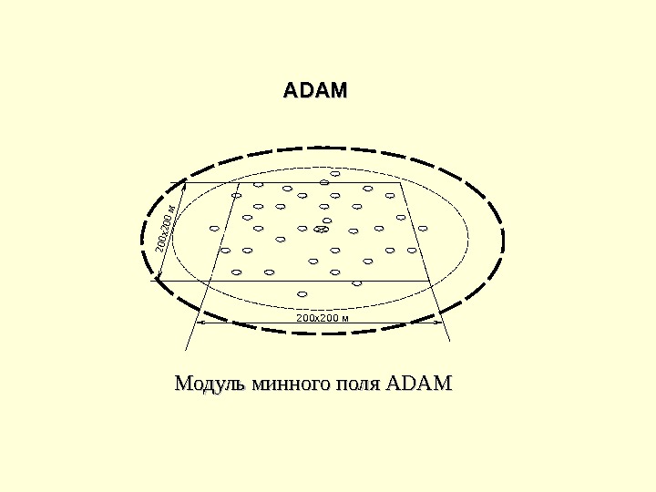   ADAM  200 х200 м Модуль минного поля ADAM   