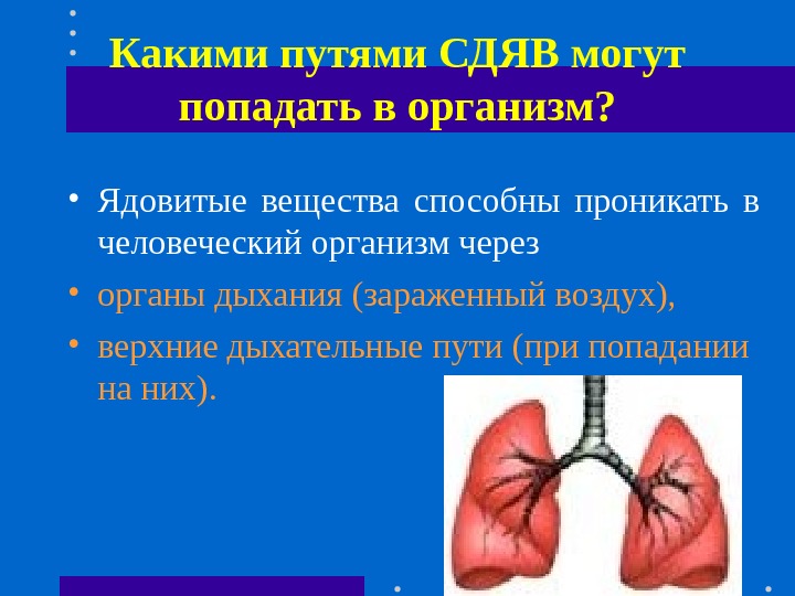 Какими путями СДЯВ могут попадать в организм?  • Ядовитые вещества способны проникать в