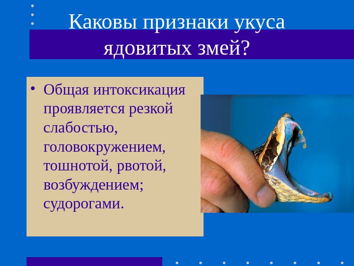 Каковы признаки укуса ядовитых змей?  • Общая интоксикация проявляется резкой слабостью,  головокружением,