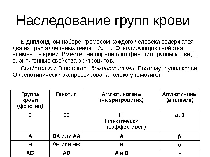 Второй фенотип группы крови