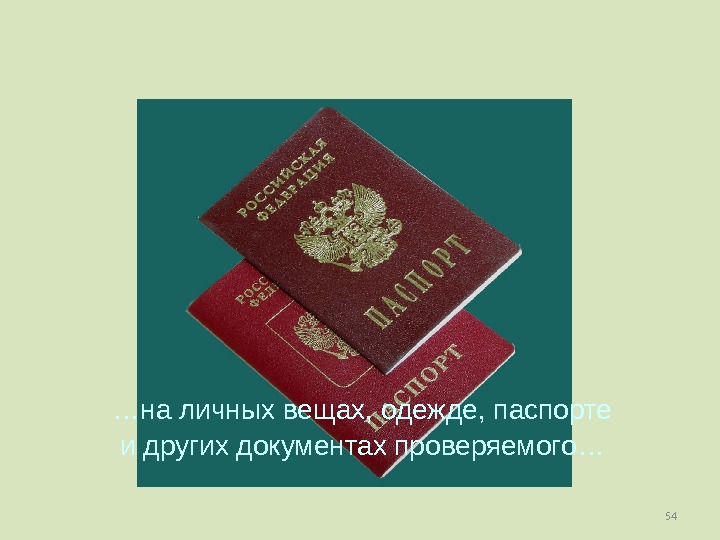 54… на личных вещах, одежде, паспорте и других документах проверяемого … 