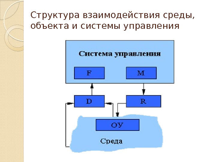 Взаимоотношения среды. Взаимодействие системы и среды. Структура среды управления. Взаимосвязь системы и среды. Структура среды системы управления;.