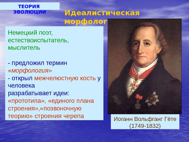 ТЕОРИЯ  ЭВОЛЮЦИИ Идеалистическая морфология Немецкий поэт,  естествоиспытатель,  мыслитель -  предложил