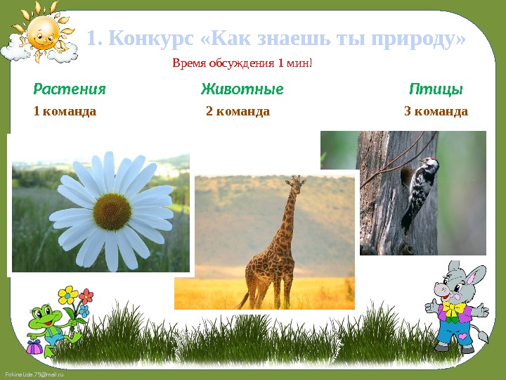 Fokina. Lida. 75@mail. ru 1. Конкурс «Как знаешь ты природу» Растения   