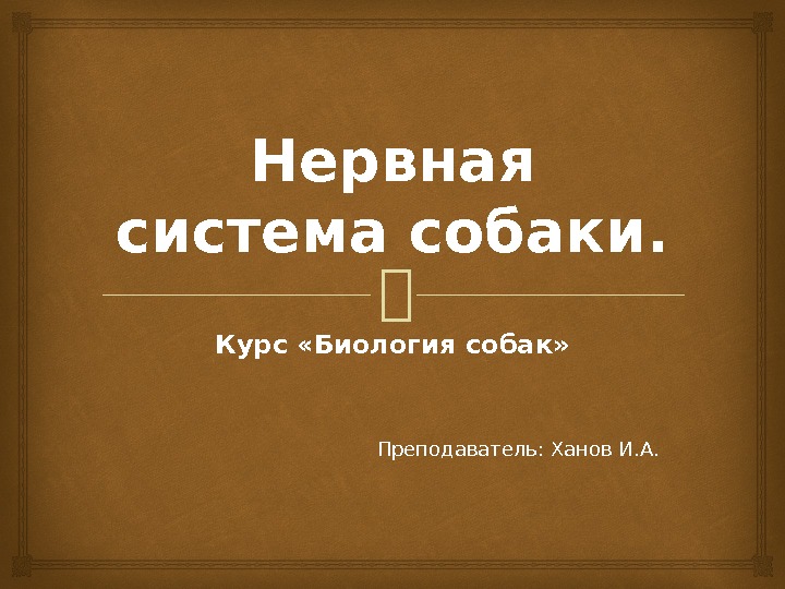 Нервная система собаки. Курс «Биология собак» Преподаватель: Ханов И. А. 