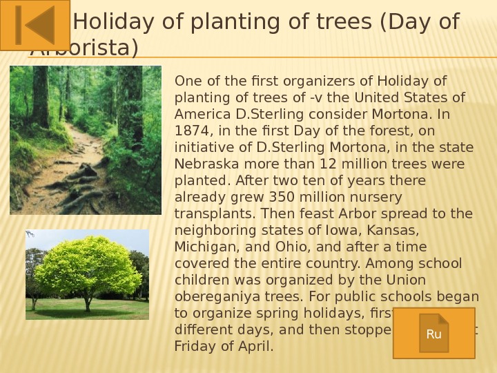   Holiday of planting of trees (Day of Arborista) One of the first