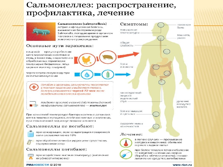 При сальмонеллезе передача инфекции возможна через. Симптомы заражения сальмонеллезом. Сальмонеллез симптомы профилактика. Профилактика сальмонеллеза памятка. Памятка на тему сальмонеллез.