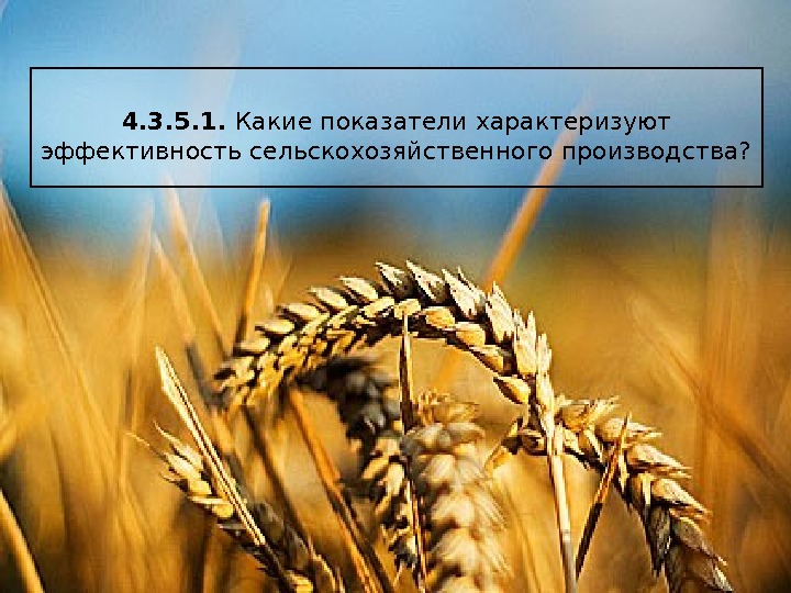 4. 3. 5. 1.  Какие показатели характеризуют эффективность сельскохозяйственного производства?  
