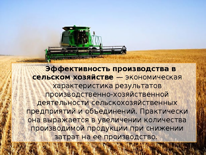 Эффективность производства в сельском хозяйстве — экономическая характеристика результатов производственно-хозяйственной деятельности сельскохозяйственных предприятий и
