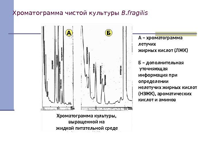 Хроматограмма чистой культуры B. fragilis А Б Хроматограмма культуры,  выращенной на жидкой питательной