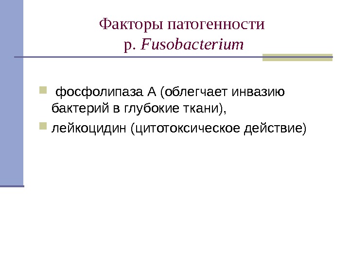 Факторы патогенности p.  Fusobacterium  фосфолипаза А (облегчает инвазию бактерий в глубокие ткани),