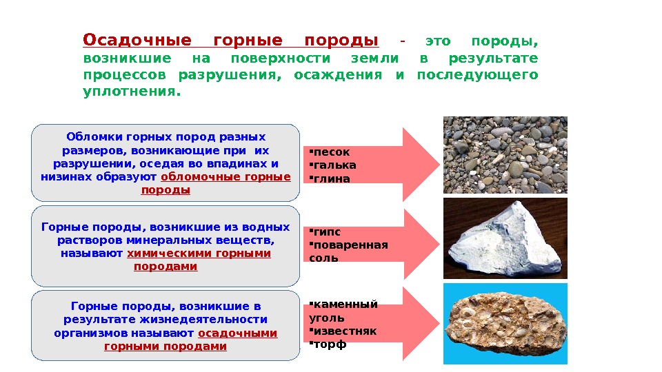 Горная порода примеры использования людьми. Осадочные горные породы 5 класс география. Из чего образуются осадочные горные породы география 5 класс. Осадочных горные ПОРОДЫПОРОД. Осадочные гороны е орды.