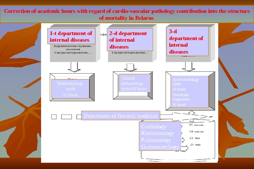 Correction of academic hours with regard of cardio-vascular pathology contribution into the structure of