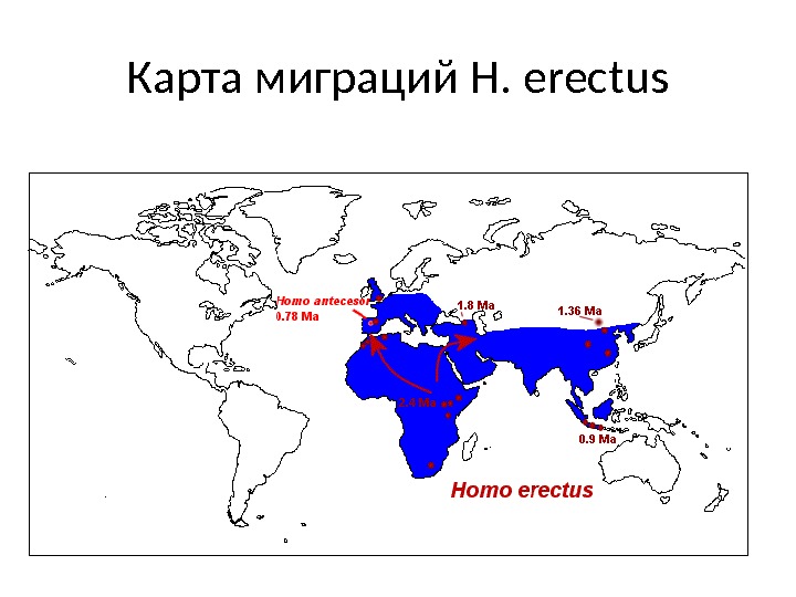 Карта миграций H. erectus 