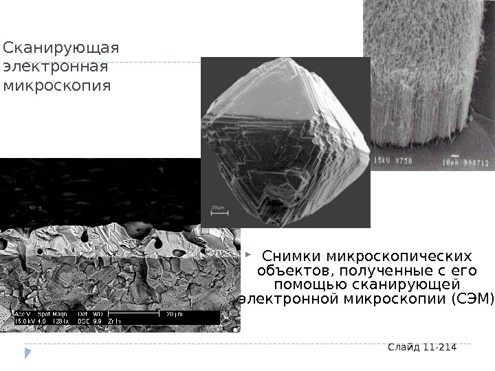 Сканирующая электронная микроскопия