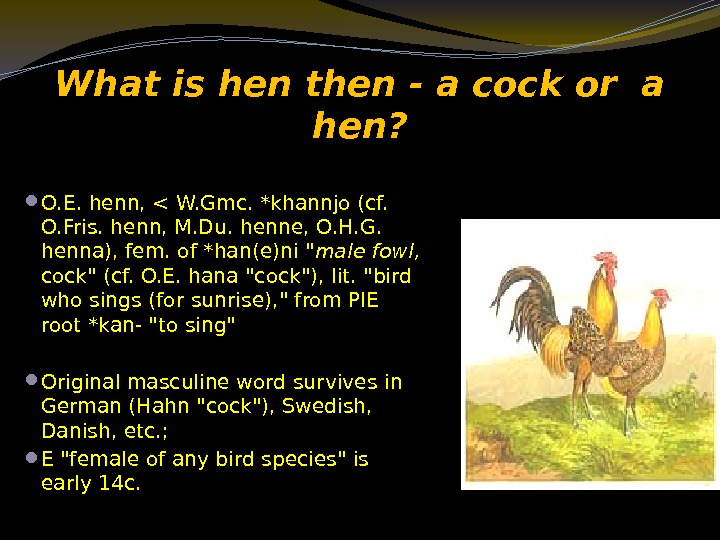 What is hen then - a cock or a hen?  O. E. henn,