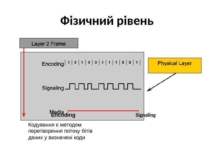 Фізичний рівень Фундаментальні функції фізичного рівня Кодування даних Передача даних Encoding Кодування є методом