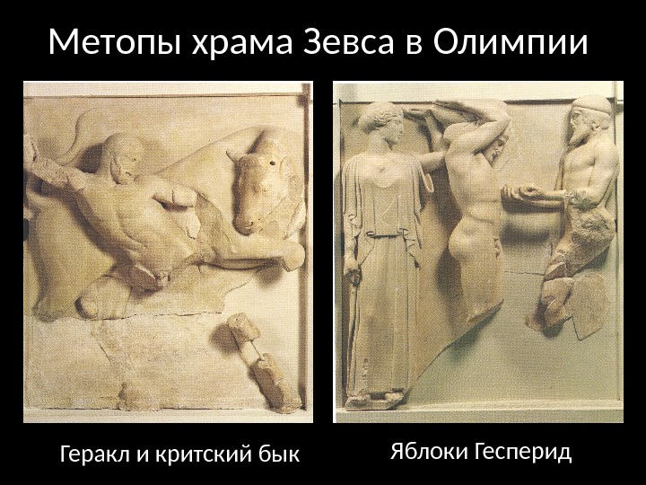 Метопы храма Зевса в Олимпии Геракл и критский бык Яблоки Гесперид 