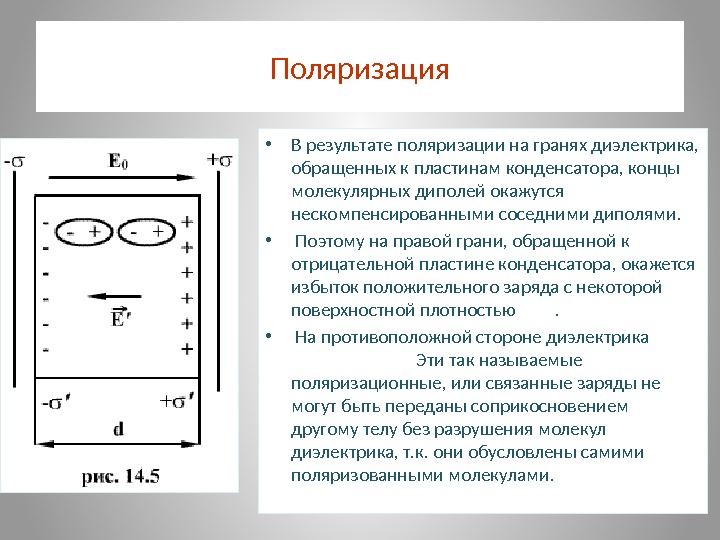 Поляризация • В результате поляризации на гранях диэлектрика,  обращенных к пластинам конденсатора, концы