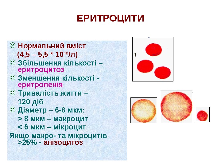 ЕРИТРОЦИТИ Нормальний вміст  (4, 5 – 5, 5 * 10 ¹²/ л )