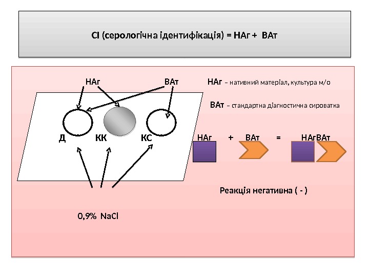 СІ (серологічна ідентифікація) = НАг + ВАт     НАг  