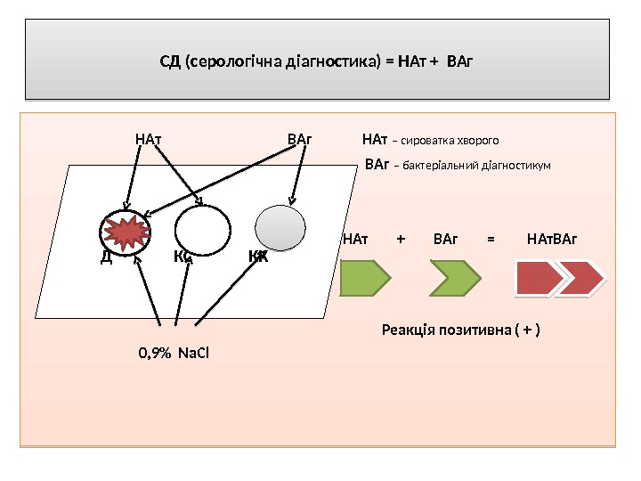 СД (серологічна діагностика) = НАт + ВАг    НАт   