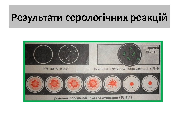 Результати серологічних реакцій 