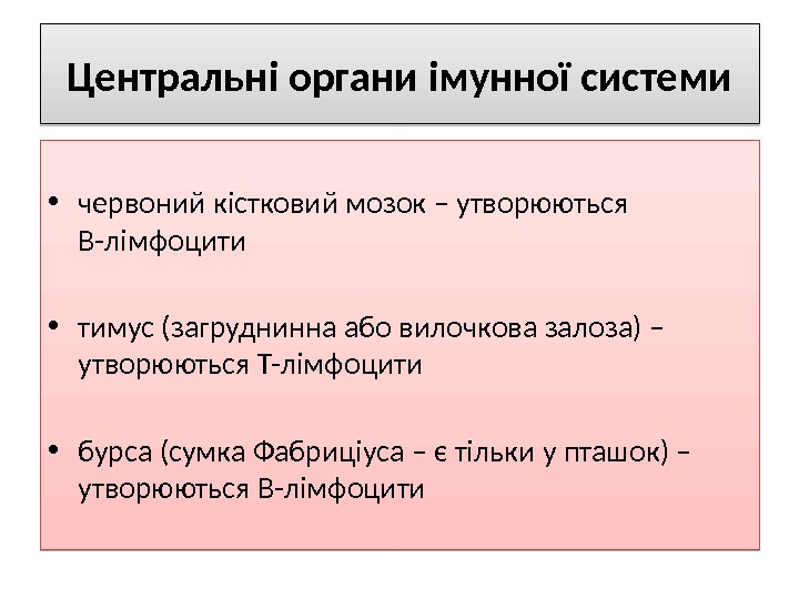 Центральні органи  імунної системи • червоний кістковий мозок – утворюються   