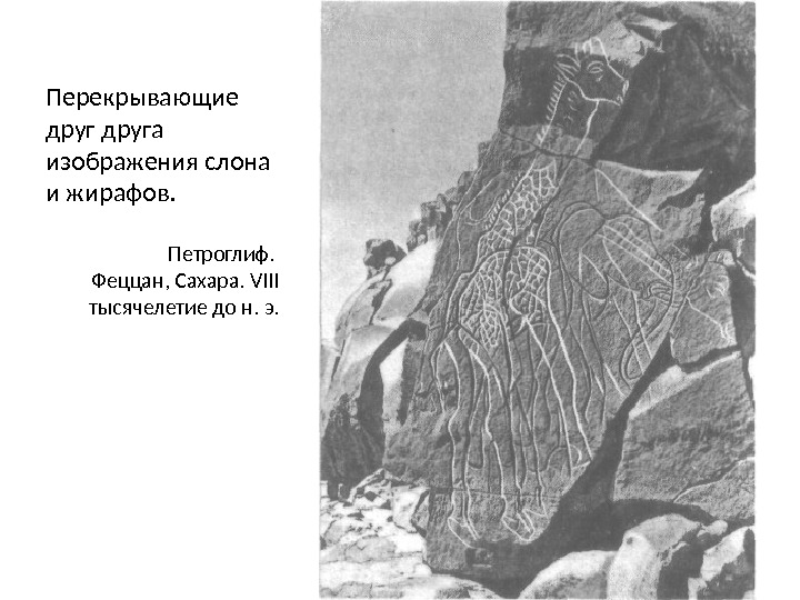 Перекрывающие друга изображения слона и жирафов.  Петроглиф.  Феццан, Сахара. VIII тысячелетие до