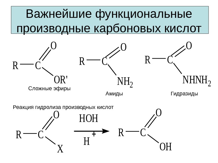 Важнейшие функциональные производные карбоновых кислот. RC O OR' RC O NH 2 RC O