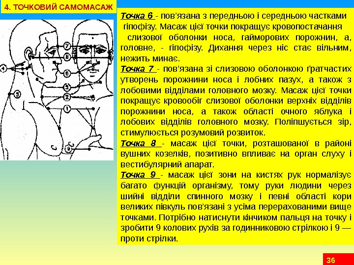 36 Точка 6  - пов’язана з передньою і середньою частками  гіпофізу. Масаж