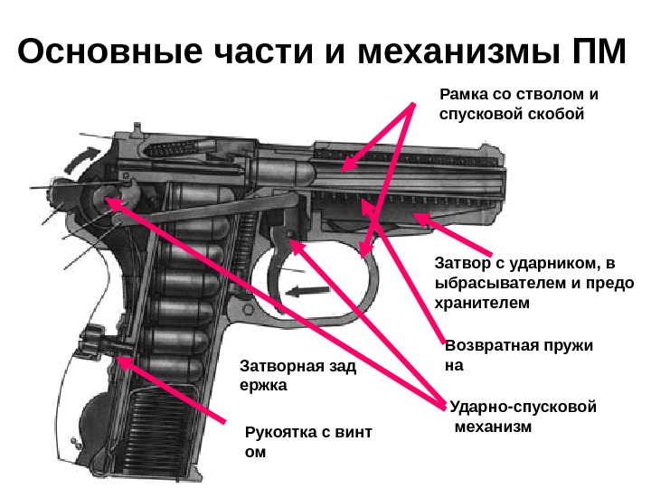 Основные части и механизмы ПМ  Рамка со стволом и спусковой скобой Затвор с