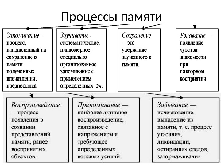 Перечислите основные познавательные процессы и укажите какие