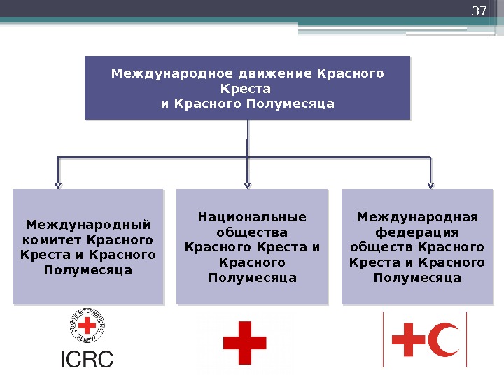 37 Международное движение Красного Креста и Красного Полумесяца Международный комитет Красного Креста и Красного