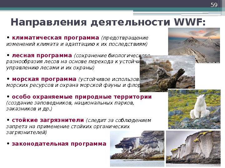 59 Направления деятельности WWF:  •  климатическая программа (предотвращение изменений климата и адаптацию