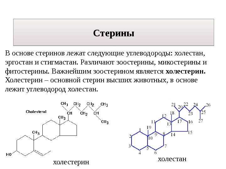 В основе стеринов лежат следующие углеводороды: холестан,  эргостан и стигмастан. Различают зоостерины, микостерины