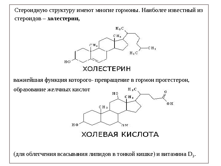 Стероидную структуру имеют многие гормоны. Наиболее известный из стероидов – холестерин, важнейшая функция которого-