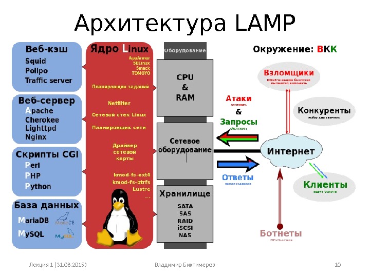 Архитектура LAMP Лекция 1 (31. 08. 2015) Владимир Биктимеров 10 