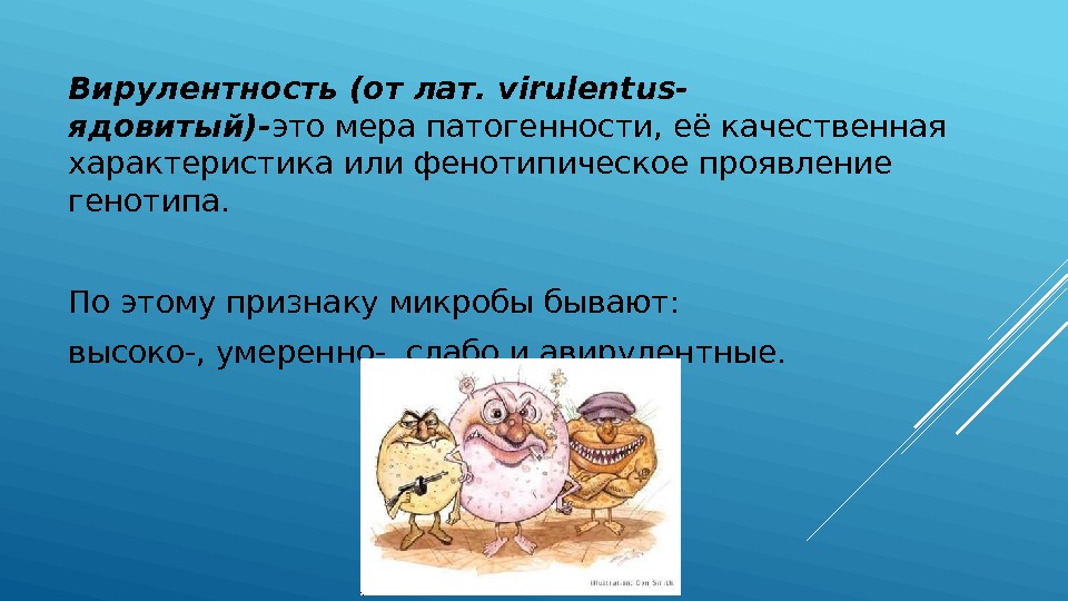 Вирулентность (от лат. virulentus- ядовитый)- это мера патогенности, её качественная характеристика или фенотипическое проявление
