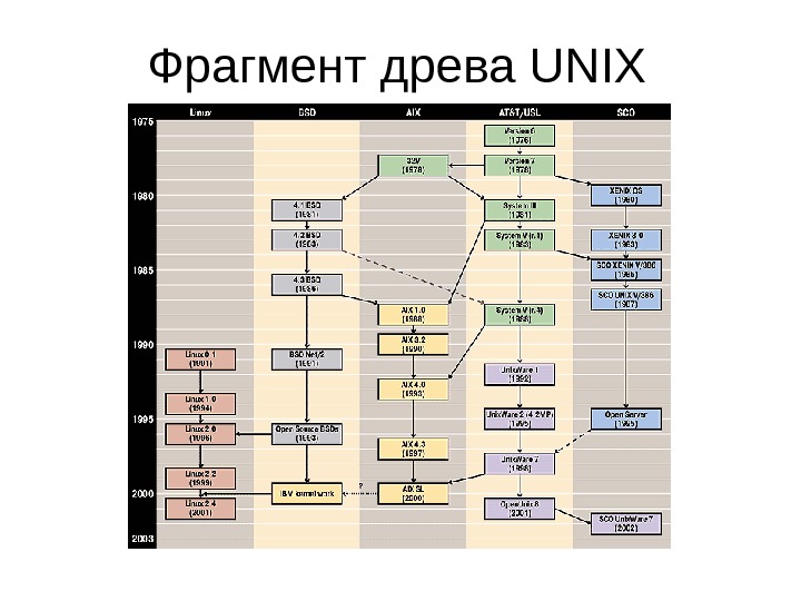 Фрагмент древа UNIX 