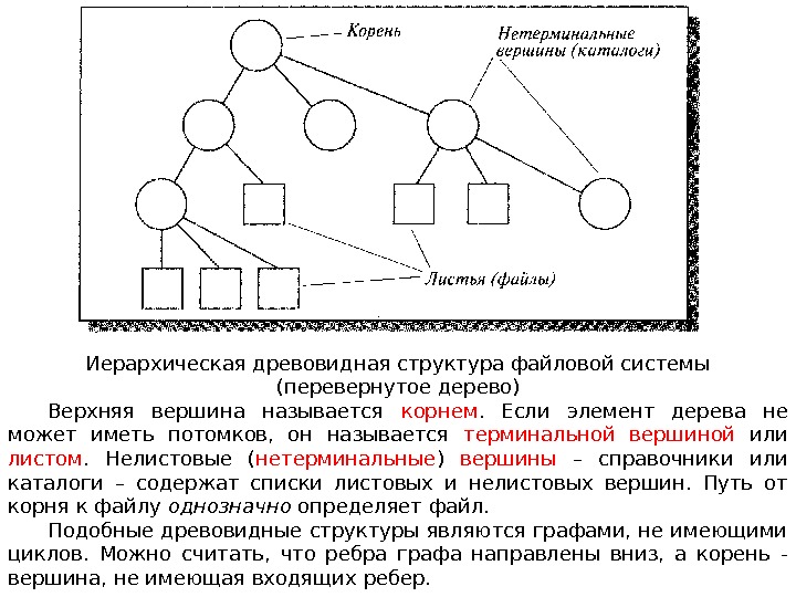 Иерархическая древовидная структура файловой системы (перевернутое дерево) Верхняя вершина называется корнем.  Если элемент